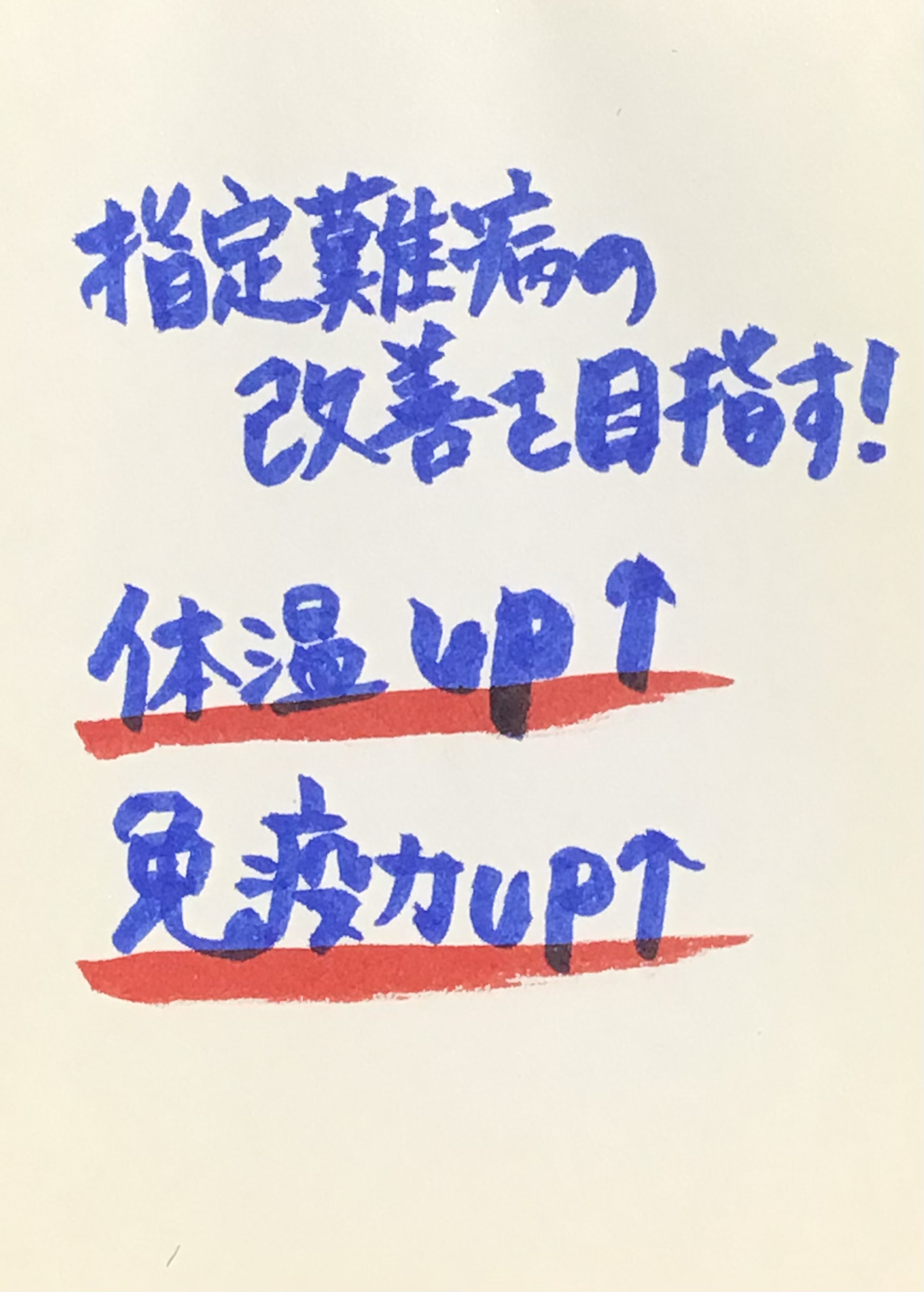 酵素浴・よもぎ蒸し・笹蒸し｜安城市｜カフェ＆サロンおさかなの手紙