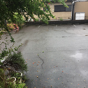 雨で… 柘榴の花が落ちちゃいました|酵素浴・よもぎ蒸し・笹蒸し｜安城市｜カフェ＆サロンおさかなの手紙