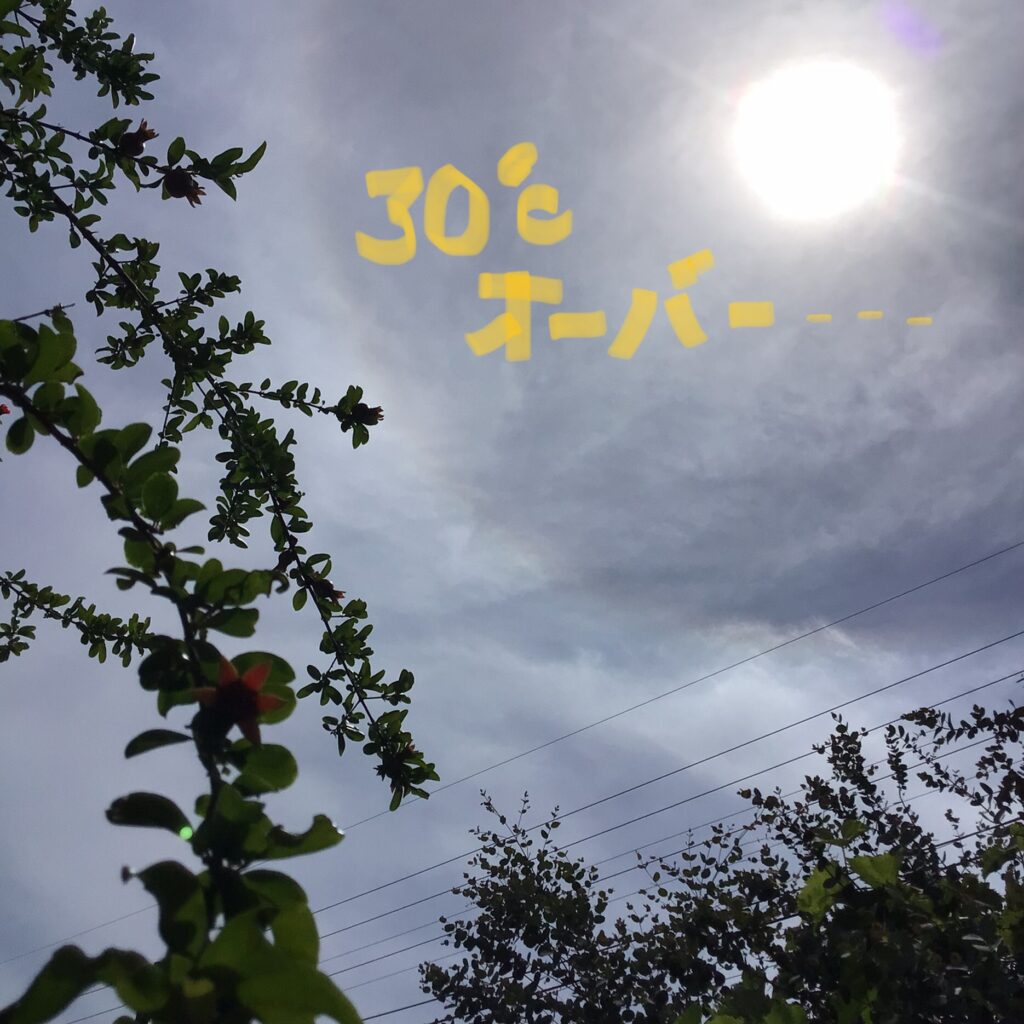 暑熱順化③|酵素浴・よもぎ蒸し・笹蒸し｜安城市｜カフェ＆サロンおさかなの手紙