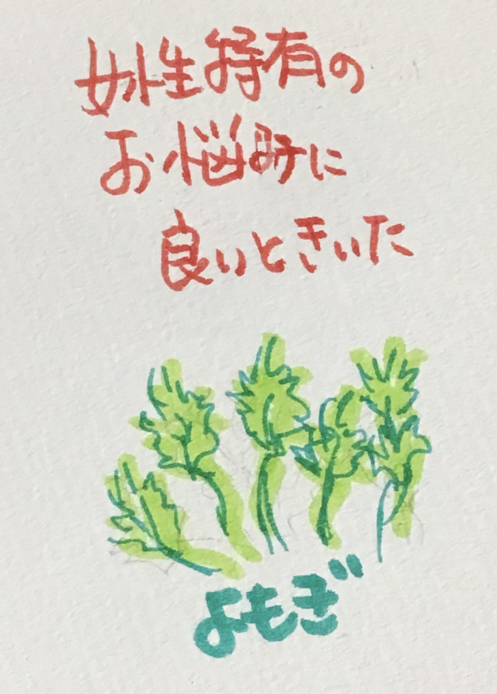 酵素浴・よもぎ蒸し・笹蒸し|安城市|カフェ&サロンおさかなの手紙
