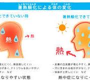 酵素浴・よもぎ蒸し・笹蒸し|安城市|カフェ&サロンおさかなの手紙