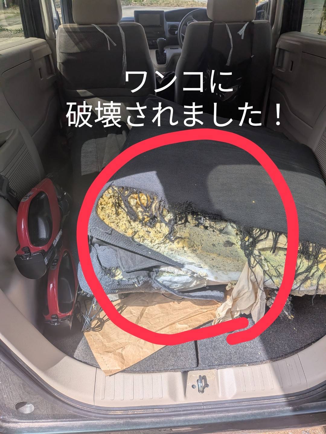 酵素浴・よもぎ蒸し・笹蒸し｜安城市｜カフェ＆サロンおさかなの手紙