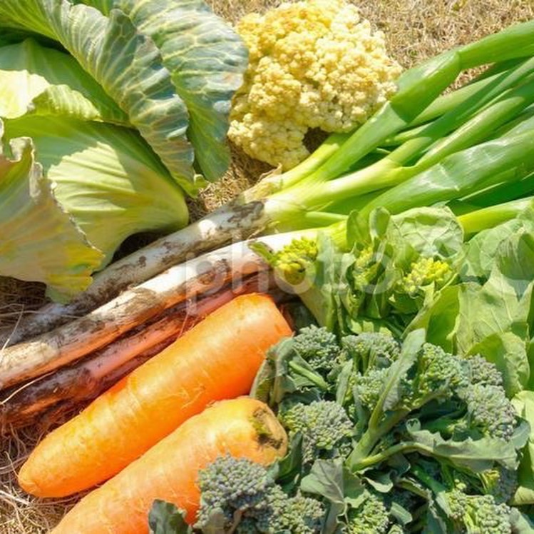 酵素浴・よもぎ蒸し・笹蒸し｜安城市｜カフェ＆サロンおさかなの手紙